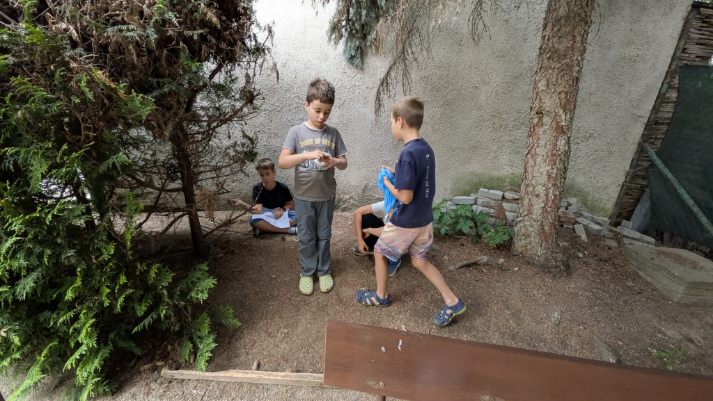 PXL_20260722_131001176.RAW-01.MP-new.jpg