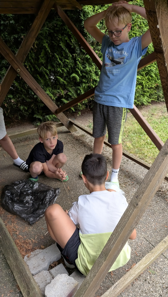 PXL_20260722_131114761.RAW-01.MP-new.jpg