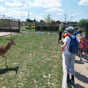 Zoopark Nehvizdy