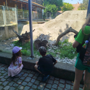 57d709a8-a209-4ea8-9376-522c410b8be2.jpeg