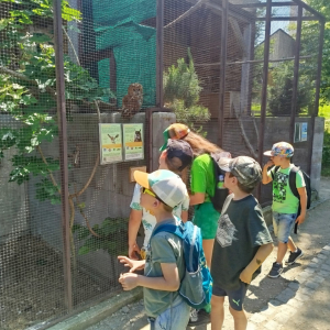33151273-e3c9-499b-9ff9-94f9ee321d6d.jpeg