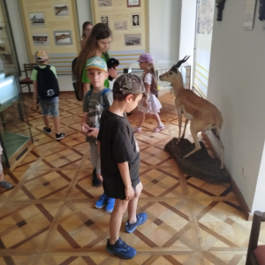 9092a17e-915e-4c86-a14b-f3af24533cc3.jpeg