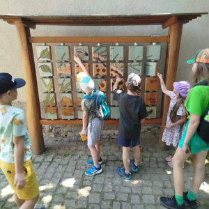 40053317-b0e2-419a-bc58-d60f62397c79.jpeg