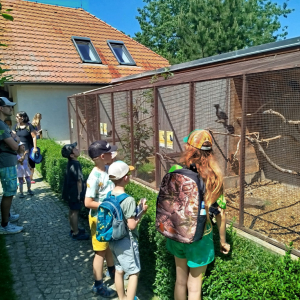 c98df016-279e-4c02-a3e0-6031f70d025d.jpeg