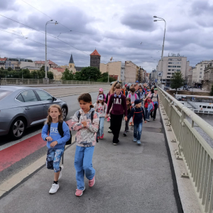 084dc794-eda8-4883-9ef0-da2004406857.jpeg