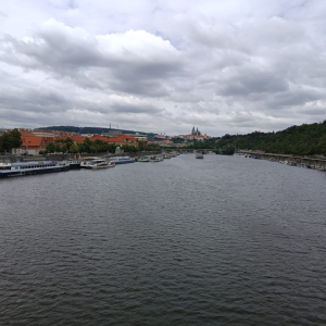 e05d5031-0762-43be-befa-308b571244a3.jpeg